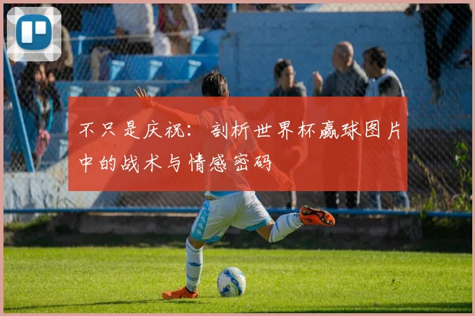 不只是庆祝：剖析世界杯赢球图片中的战术与情感密码